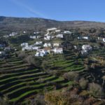 Μονοπάτι 2 | Μονοπάτια στην Άνδρο