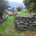 Μονοπάτι 18 | Μονοπάτια στην Άνδρο