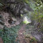 Μονοπάτι 18 | Μονοπάτια στην Άνδρο