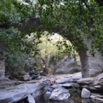 Hiking trail 6 in Andros