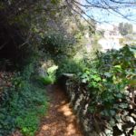 Μονοπάτι 8 | Μονοπάτια στην Άνδρο