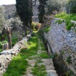 Μονοπάτι 8 | Μονοπάτια στην Άνδρο