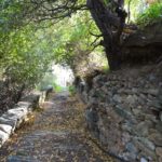 Μονοπάτι 8 | Μονοπάτια στην Άνδρο